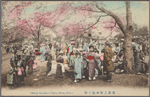 Cherry blossom at Uyeno Park, Tokyo.