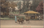 Nara Park, Nara.