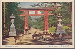 The Ichinotrii of Nara.