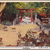 Second torii-gate and deers at Kasuga Shrine.