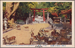 Second torii-gate and deers at Kasuga Shrine.