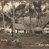 Native huts, Rarotonga.