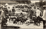 Dog market Baguio, MT. P.I.