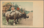 Riding on a water buffalo, P.I.