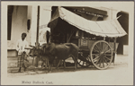 Mallay bullock cart.