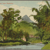 Adams Peak from Maskeliya.