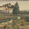 A trout stream, Nuwara Eliya, Ceylon.