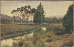 A trout stream, Nuwara Eliya, Ceylon.