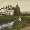 Nuwara Eliya, Ceylon.