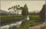 Nuwara Eliya, Ceylon.