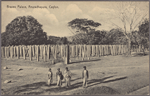 Brazen Palace, Anuradhapura, Ceylon.