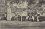 Sacred Bo-tree, Anuradhapura, Ceylon.