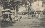 The rest house,  Anuradhapura.