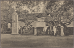Sacred-Bo tree, Anuradhapura, Ceylon.