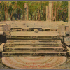 Moon stone and steps, Kings Palace, Anuradhapura.