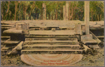 Moon stone and steps, Kings Palace, Anuradhapura.