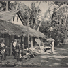 Boralesgamuwa: A rural scene, Colombo, Ceylon.