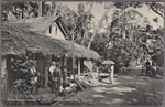 Boralesgamuwa: A rural scene, Colombo, Ceylon.