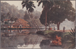 A lakeside view, Kandy, Ceylon.