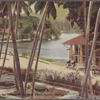 View from the Temple of the Holy Tooth, Kandy, Ceylon.