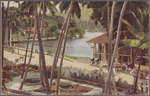 View from the Temple of the Holy Tooth, Kandy, Ceylon.