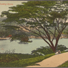 Kandy Lake, showing library.