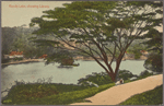 Kandy Lake, showing library.