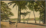 Round the lake, Kandy.