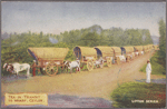 Tea in transit to wharf, Ceylon.
