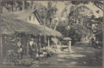 Boralesgamuwa: A rural scene, Colombo, Ceylon.