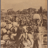 Ceylon vegetables.