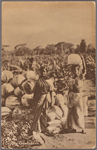 Ceylon vegetables.