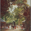 Native roadside scene.
