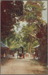 Native roadside scene.