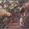 A village scene, Ceylon.