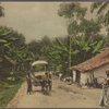 A village scene near Colombo.