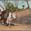Water carrier.  Ceylon.