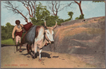 Water carrier.  Ceylon.