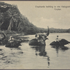 Elephants bathing in the Katugastotte River, Ceylon.