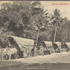 Native transport, Ceylon.