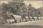 Native transport, Ceylon.