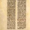 Torah reading for second day of Passover [cont.].