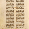 Song of Songs [cont.].