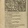 Peregrinacio del venturos pelegri