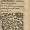 Peregrinacio del venturos pelegri