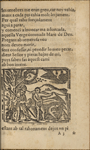 Peregrinacio del venturos pelegri