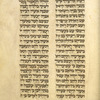Book of Ruth [cont.].