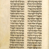 Book of Ruth [cont.].