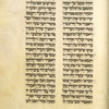 Book of Ruth [cont.].