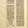 Book of Ruth [cont.].